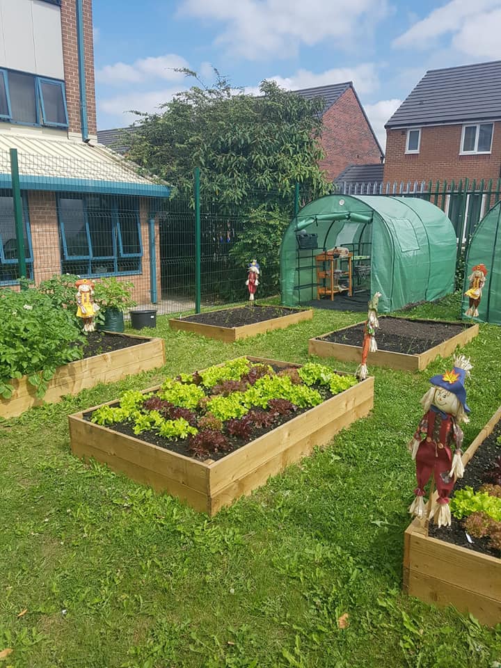Tastebuds Community Garden